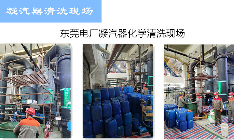 凝汽器成年性羞羞视频软件免费APP现场
